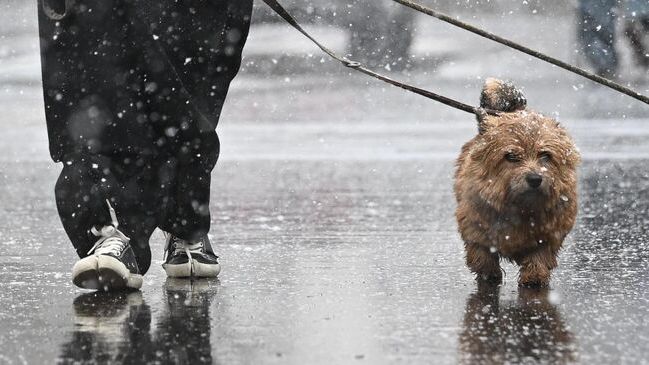 Снег вернулся в центральные регионы России